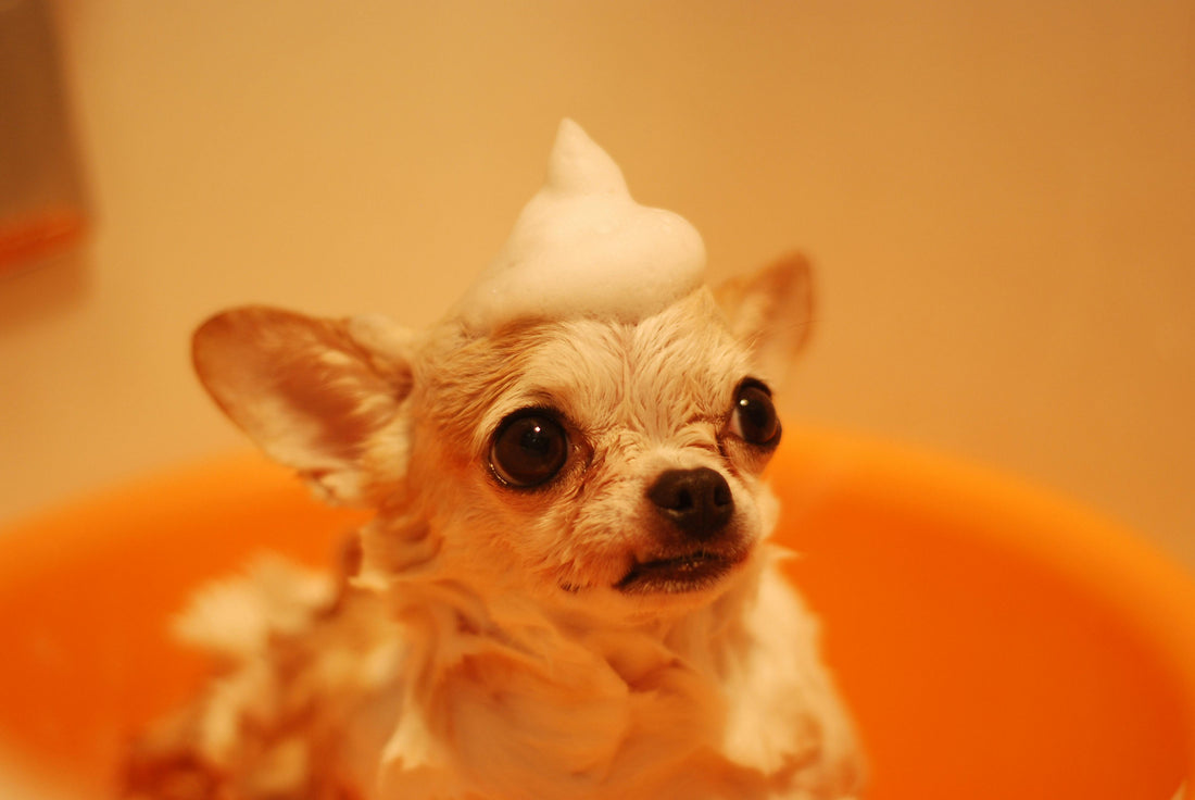 Donner le bain sans stress