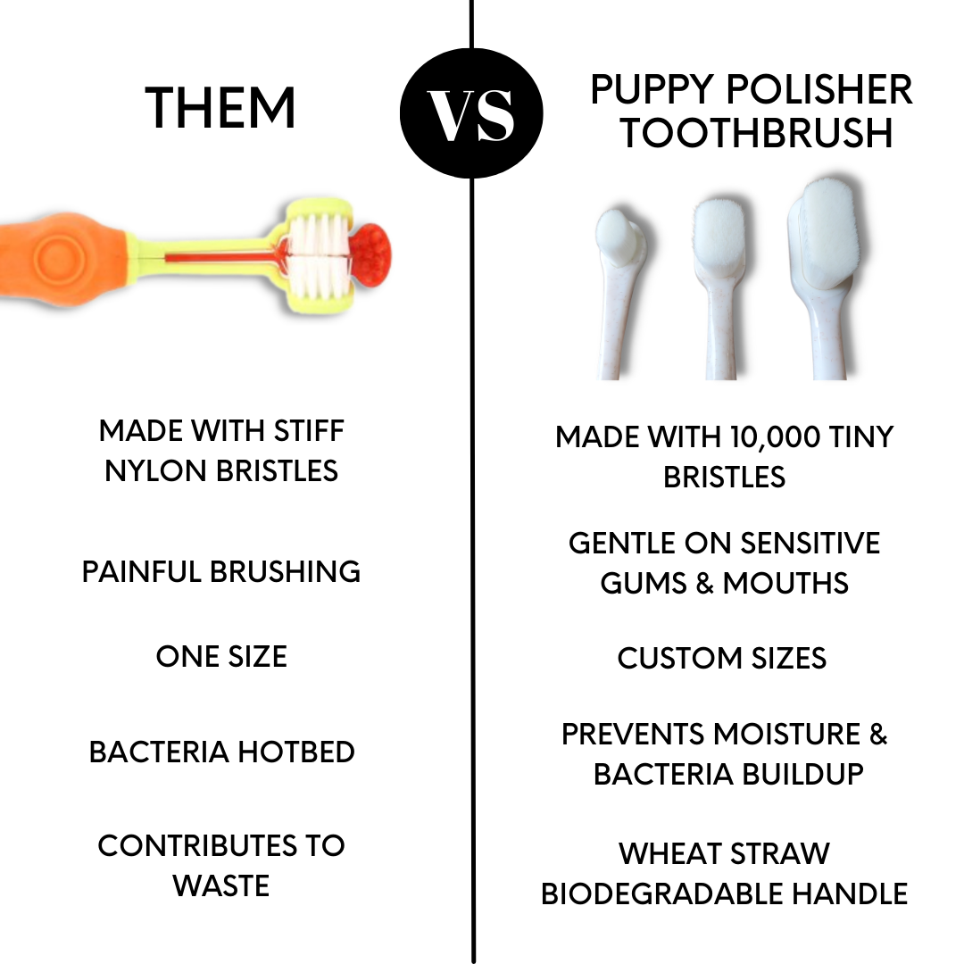 Brosse à dents écologique | Petite
