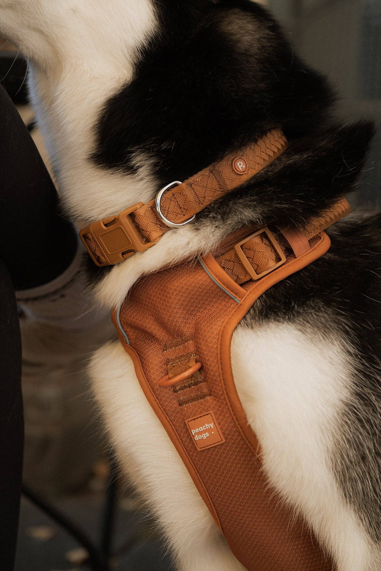 Collier quotidien | Dulce