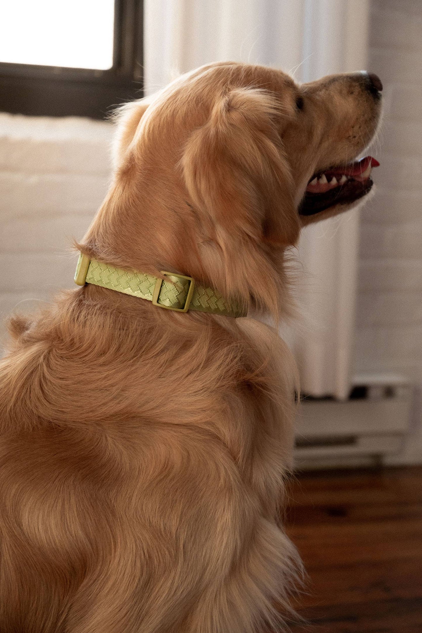 Collier quotidien | Matcha