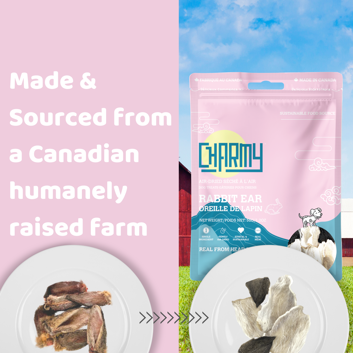 Charmy Pets | Oreilles de lapin