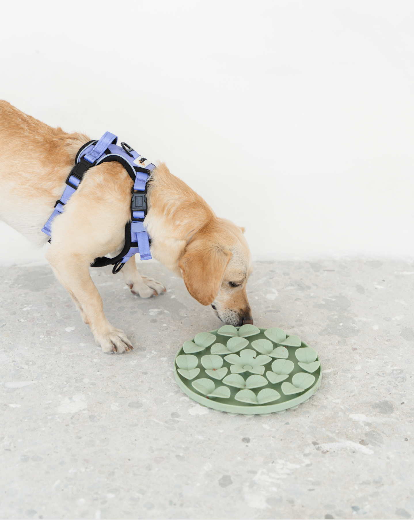 Tapis de léchage enrichi | Sage Green