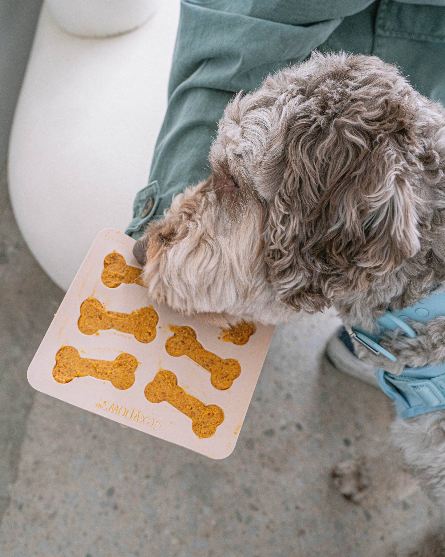 Ensemble de moules à friandises en silicone avec spatule
