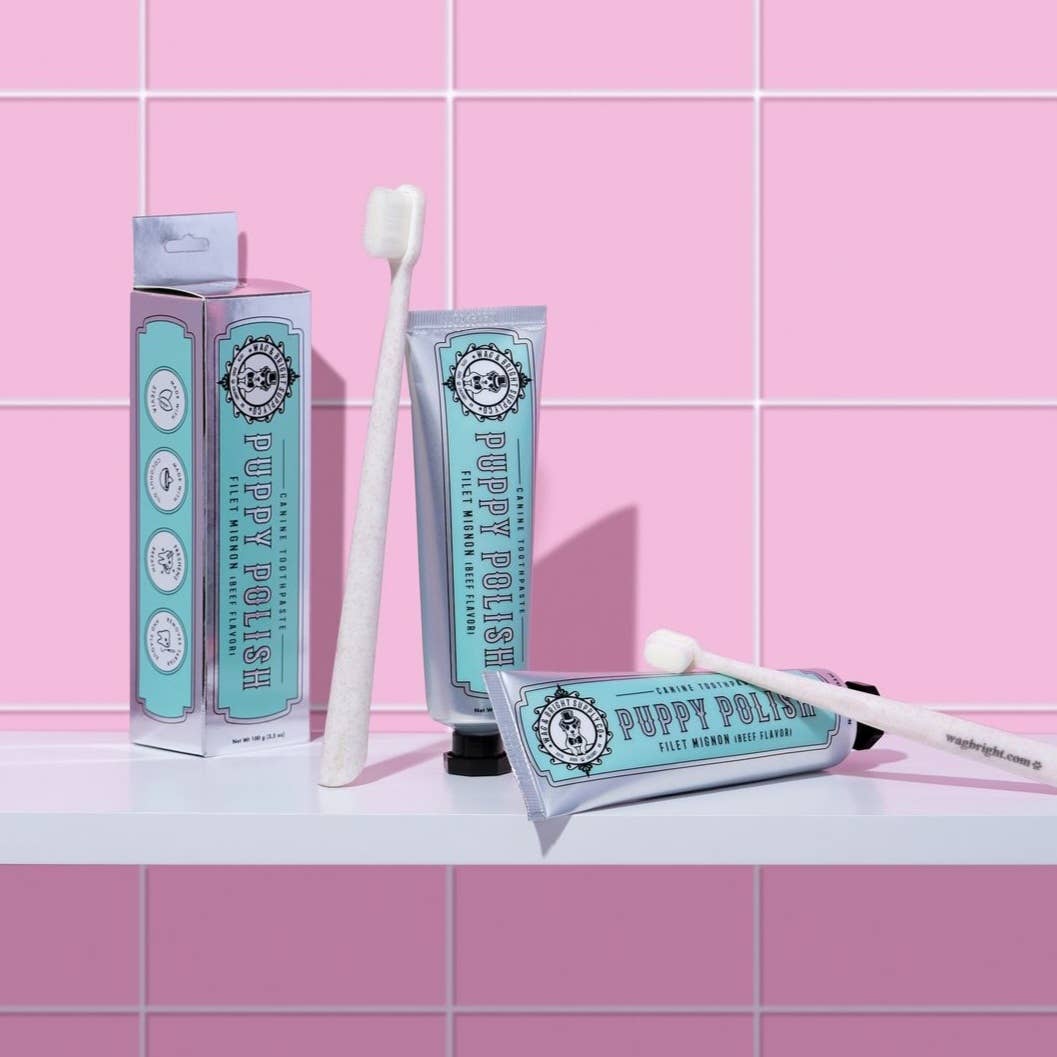 Dentifrice pour chiens | Beurre de cacahuète à l'ancienne