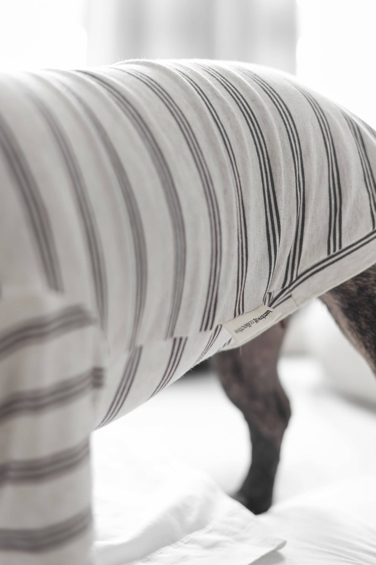 Lambwolf Collective |T-shirt rayé pour chien