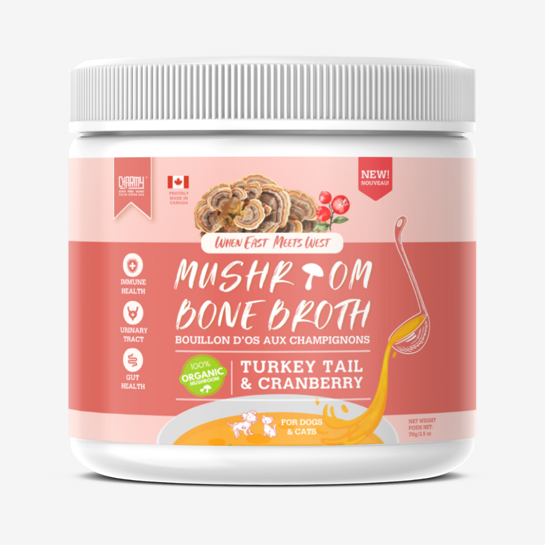 Bouillon d'os au champignon ''queue de dinde'' et canneberge