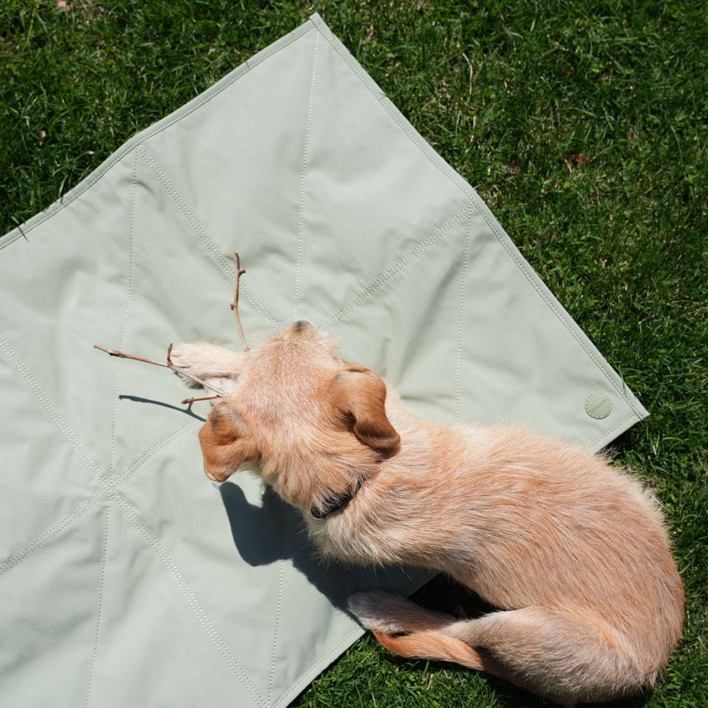 Pups & Bubs | Tapis de voyage pour animaux | Grand