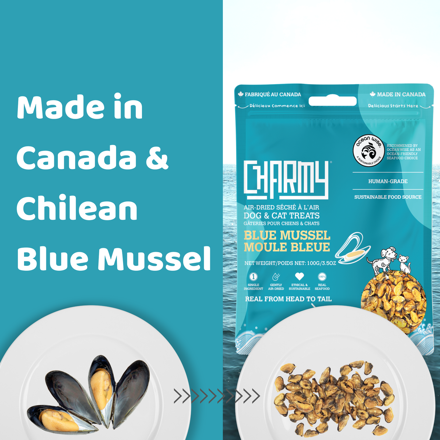 Moules bleues