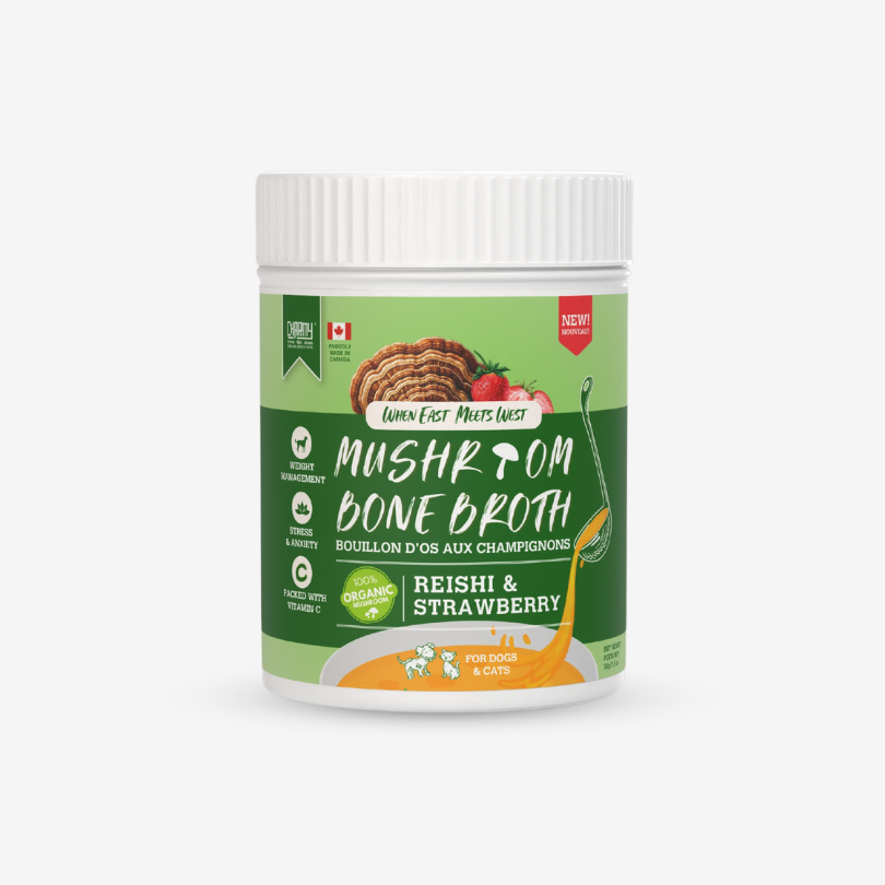 Charmy Pets | Bouillon d'os au champignon ''Reishi'' et fraise