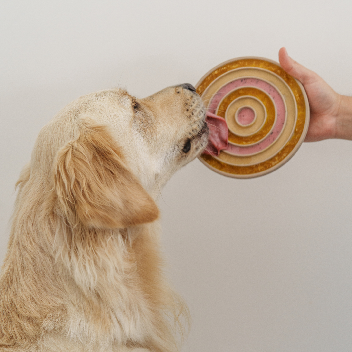 Lambwolf Collective | Bento 3 en 1