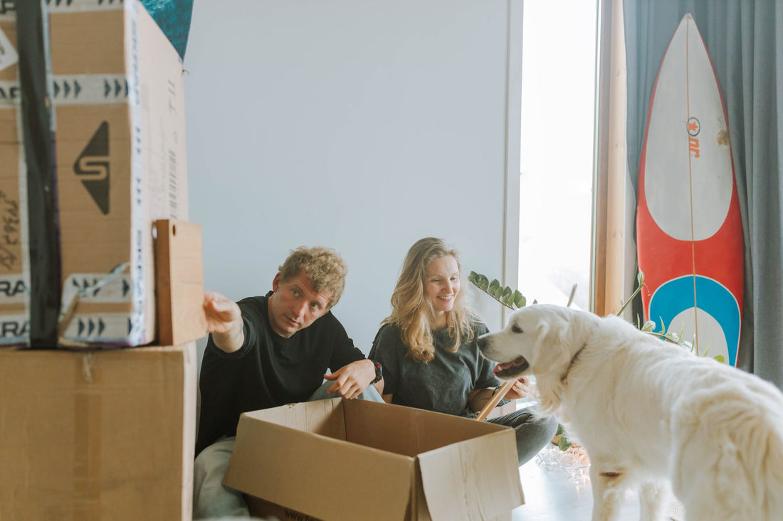 Déménager avec ton chien - Comment bien te préparer