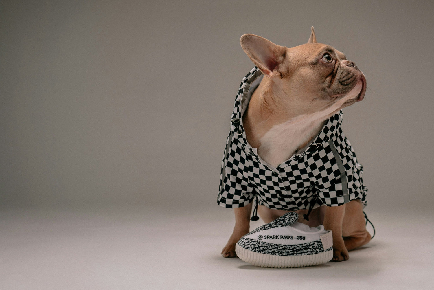 Vêtements et accessoires