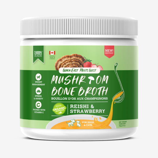 Bouillon d'os au champignon ''Reishi'' et fraise