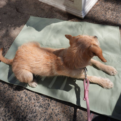 Pups & Bubs | Tapis de voyage pour animaux | Grand