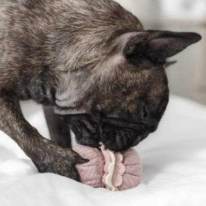 Lambwolf Collective | Madeleine + Macaron interactifs