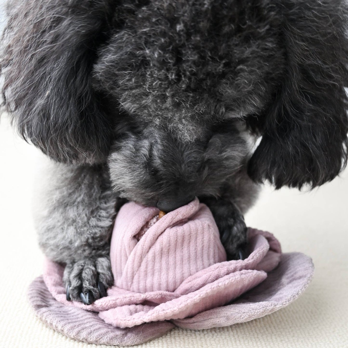 Lambwolf Collective | Chou interactif