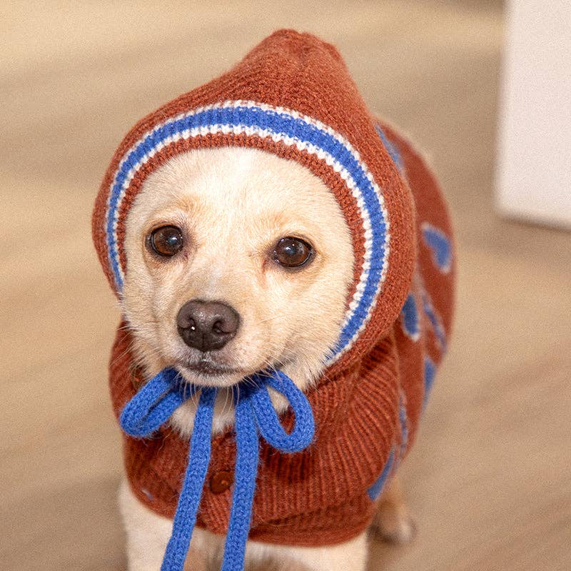 Puppy Gallery | Ensemble gilet et bonnet tricotés