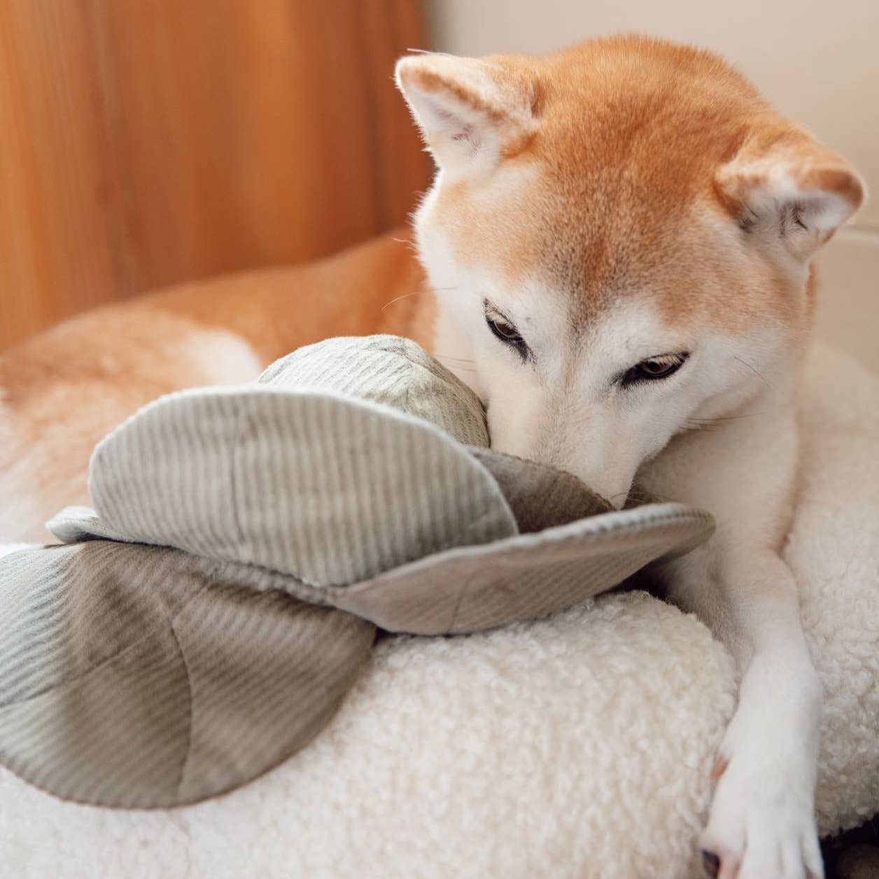 Lambwolf Collective | Chou interactif