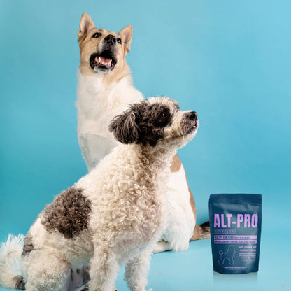 ALT-PRO Advantage | Gâteries à mâcher pour une peau et un pelage sains