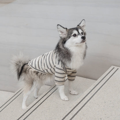 Lambwolf Collective |T-shirt rayé pour chien