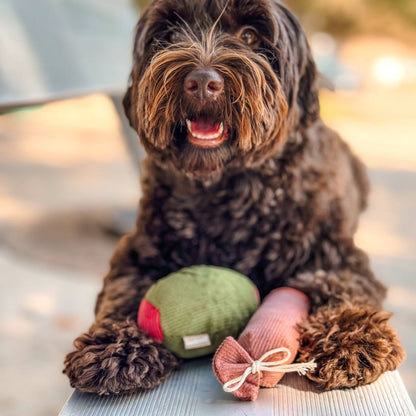Lambwolf Collective | Olive + Saucisson