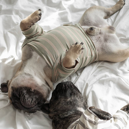 Lambwolf Collective |T-shirt rayé pour chien