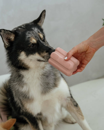 Dexy Paws | Jouet de Dentition | Blush