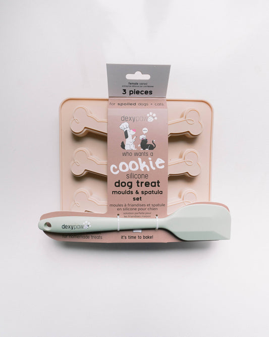 Ensemble de moules à friandises en silicone avec spatule