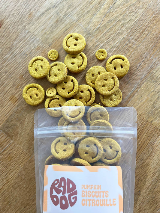 Rad Dog Goods | Biscuits à la citrouille