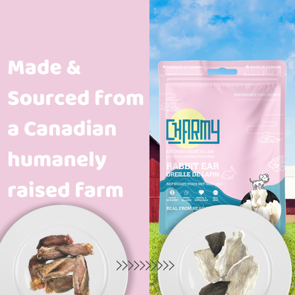 Charmy Pets | Oreilles de lapin