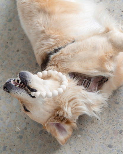 Dexy Paws | Anneau de dentition agressif | Nude