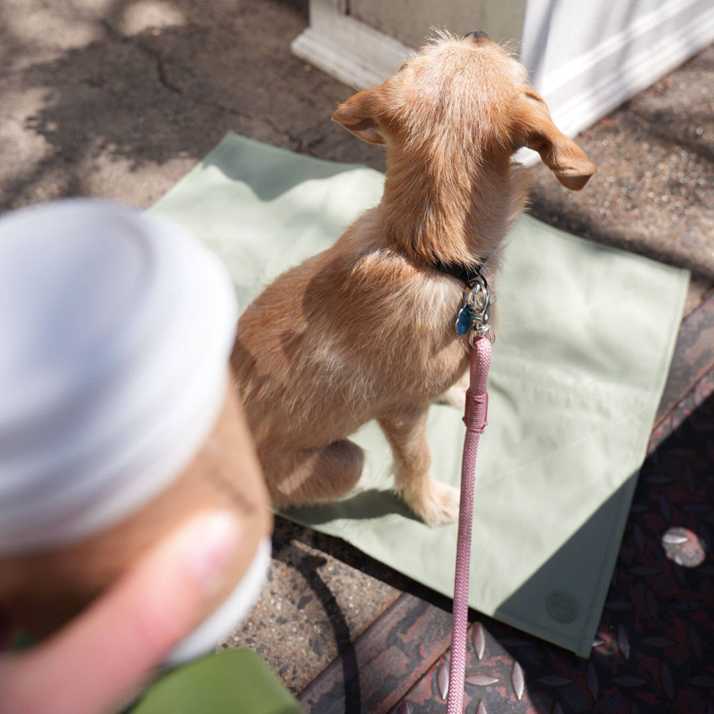 Pups & Bubs | Tapis de voyage pour animaux | Petit