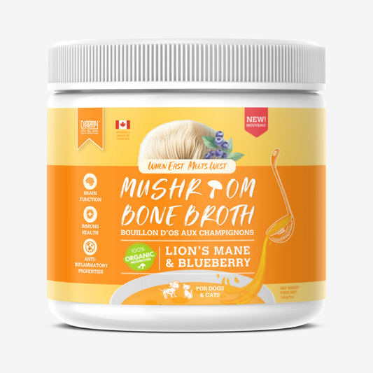 Bouillon d'os au champignon ''crinière de lion'' et bleuet