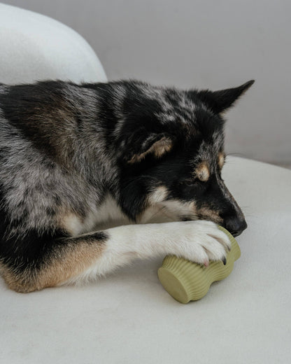 Dexy Paws | Jouet de Dentition | Jade