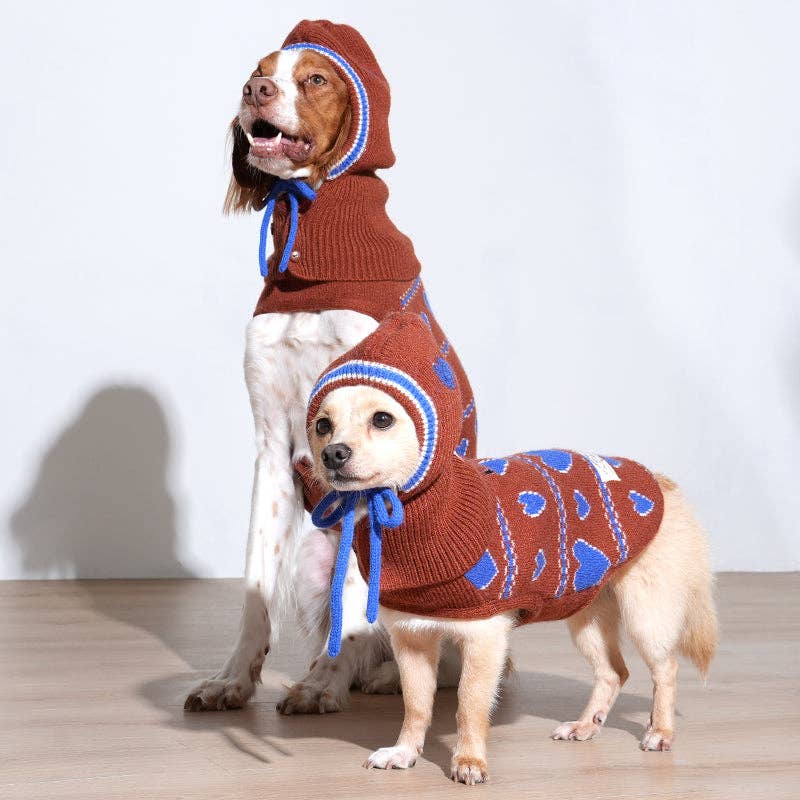 Puppy Gallery | Ensemble gilet et bonnet tricotés
