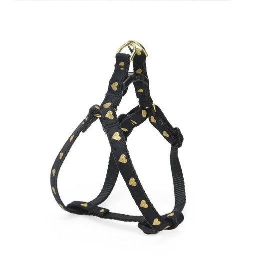 Up Country | Harnais pour petit chien | Heart of Gold
