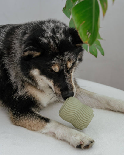 Dexy Paws | Jouet de Dentition | Sauge