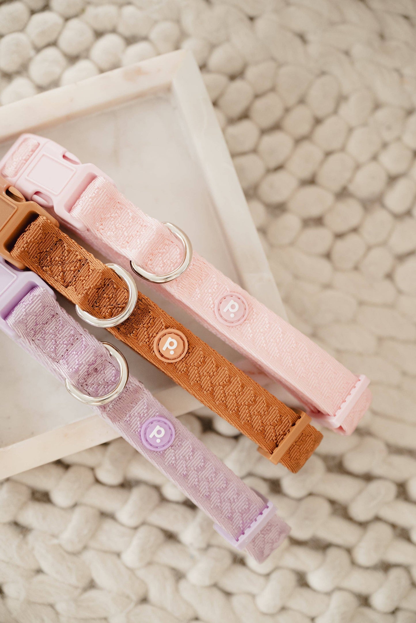 Peachy Dogs | Collier Daily | Lila