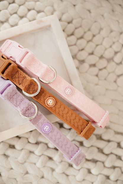 Peachy Dogs | Collier Daily | Lila