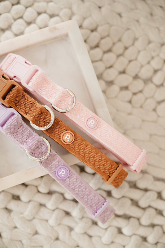 Peachy Dogs | Collier Daily | Lila