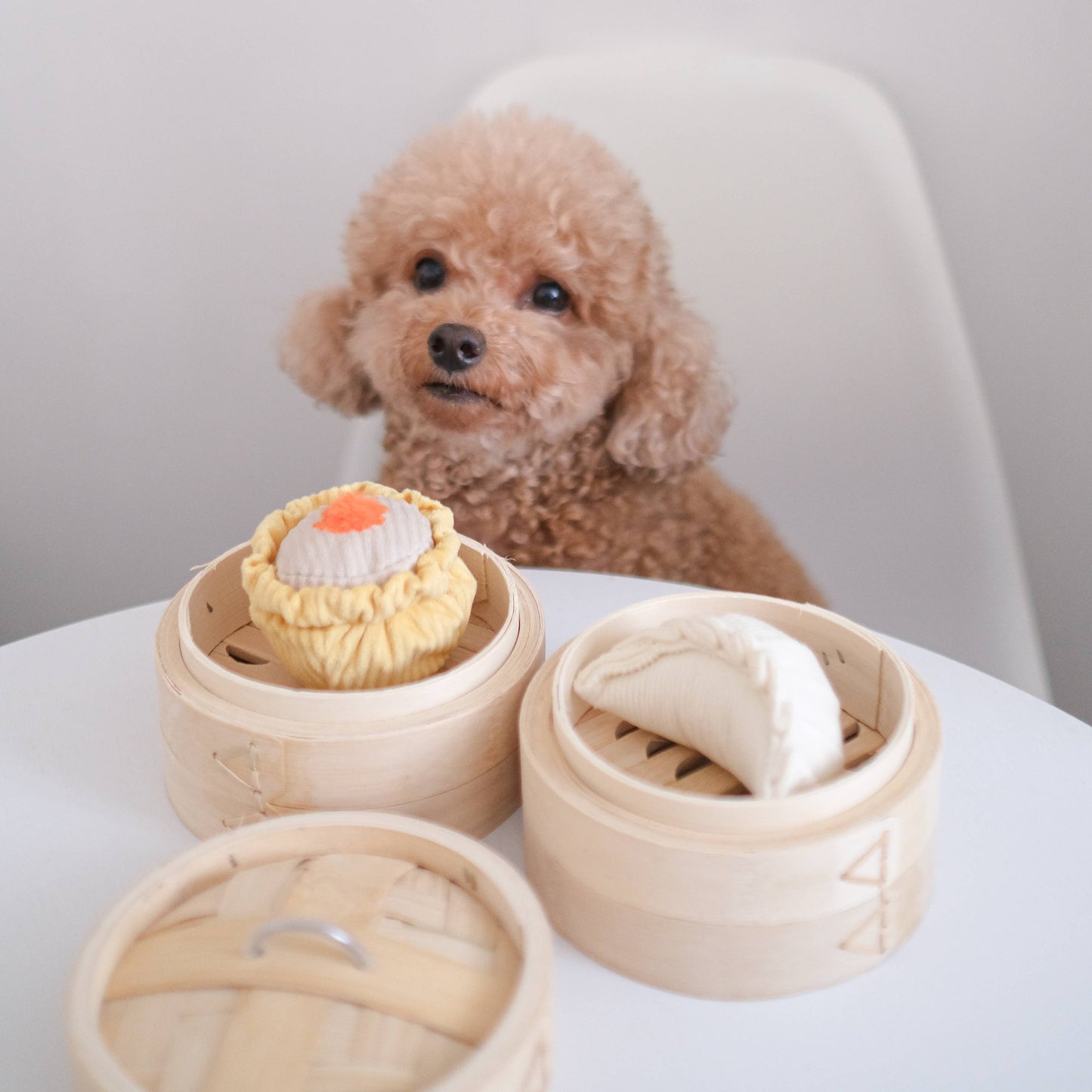 Lambwolf Collective | Dumplings Interactifs