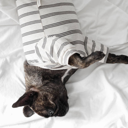 Lambwolf Collective |T-shirt rayé pour chien