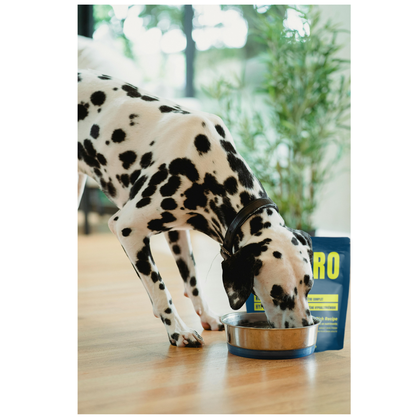 ALT-PRO Advantage | Nourriture Complète et Équilibrée pour Chiens Adultes