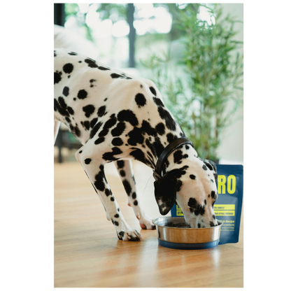 ALT-PRO Advantage | Nourriture Complète et Équilibrée pour Chiens Adultes