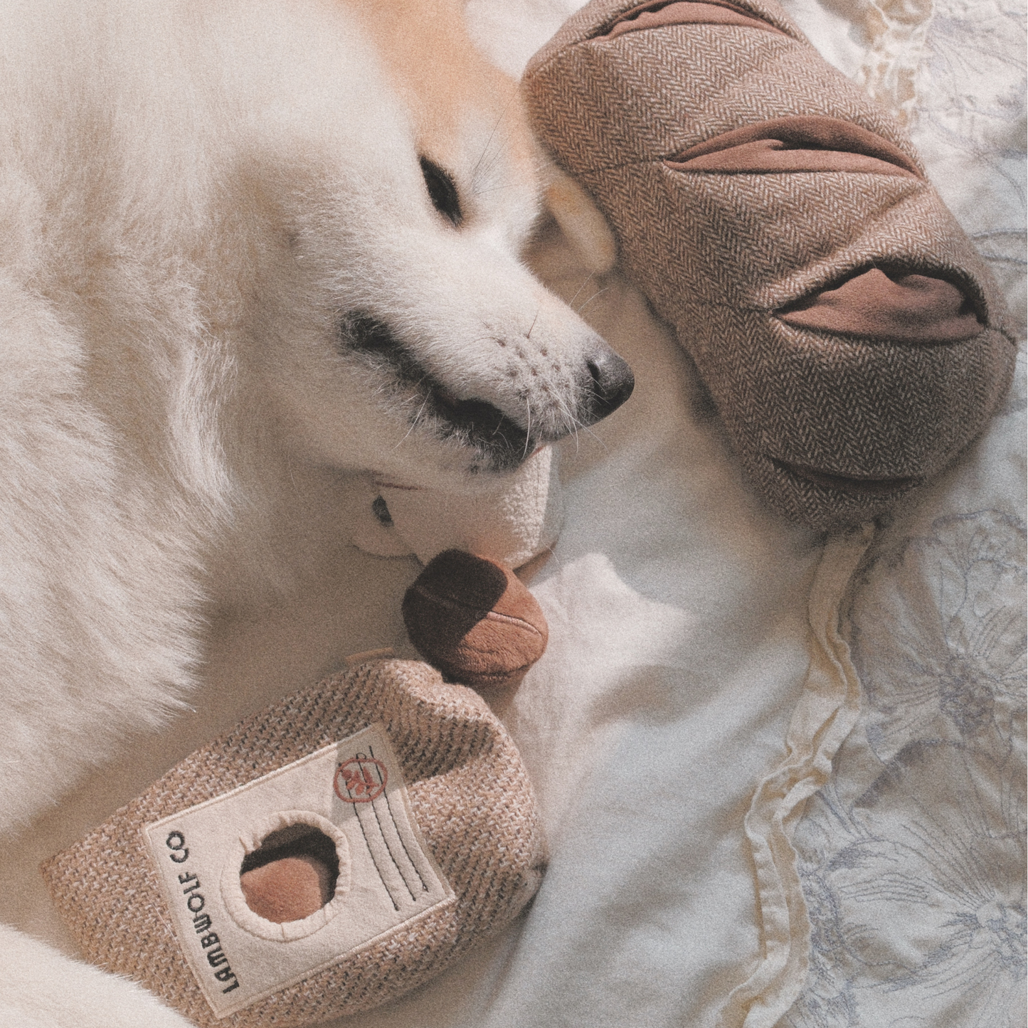 Lambwolf Collective | Grains de café interactifs