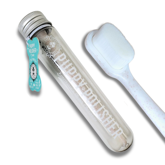 Brosse à dents écologique | Moyenne