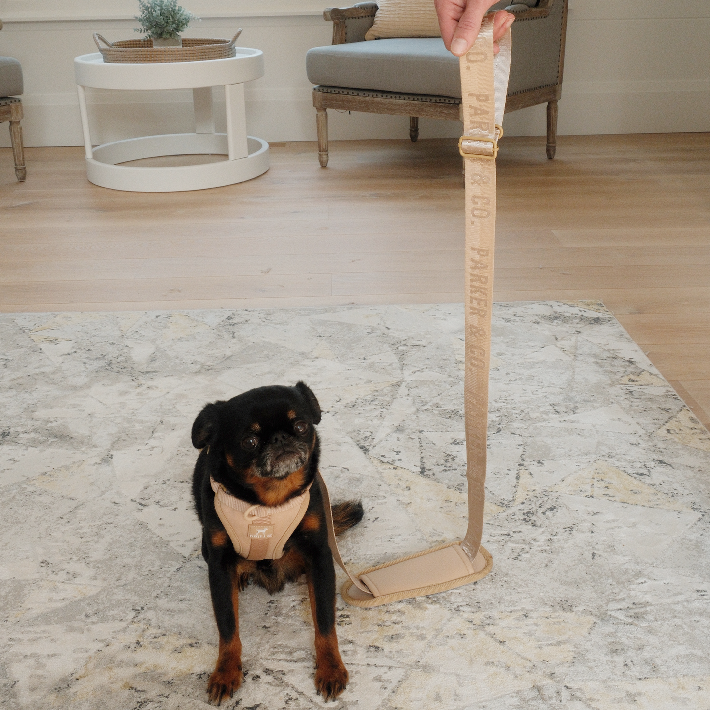 Transporteur pour animaux de compagnie