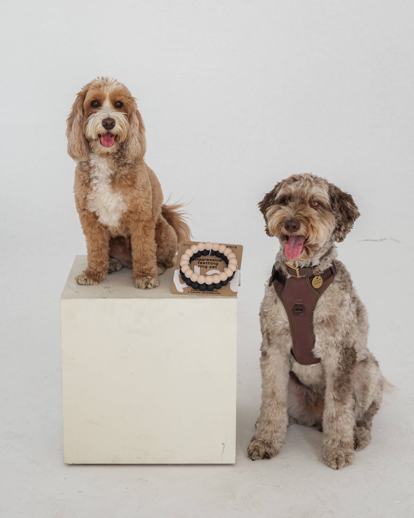 Dexy Paws | Ensemble de 2 anneaux à mâcher résistants | Nude et noir