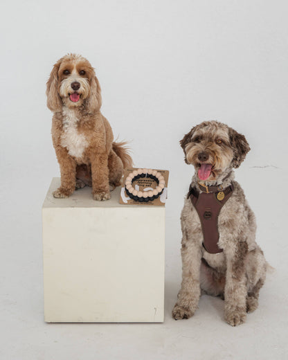 Dexy Paws | Ensemble de 2 anneaux à mâcher résistants | Nude et noir