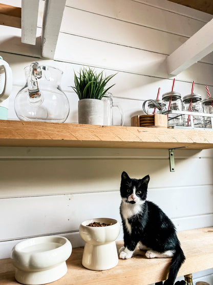 Ecocat - Gamelle à eau crème pour chat en céramique
